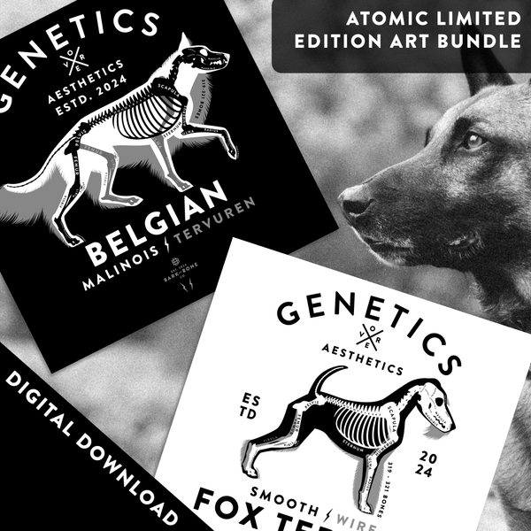 DIGITAL DOWNLOAD - Atomic Limited Edition Art Bundle
