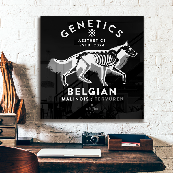 Atomic Collection  - The Belgian Shepherd (Limited Edition)