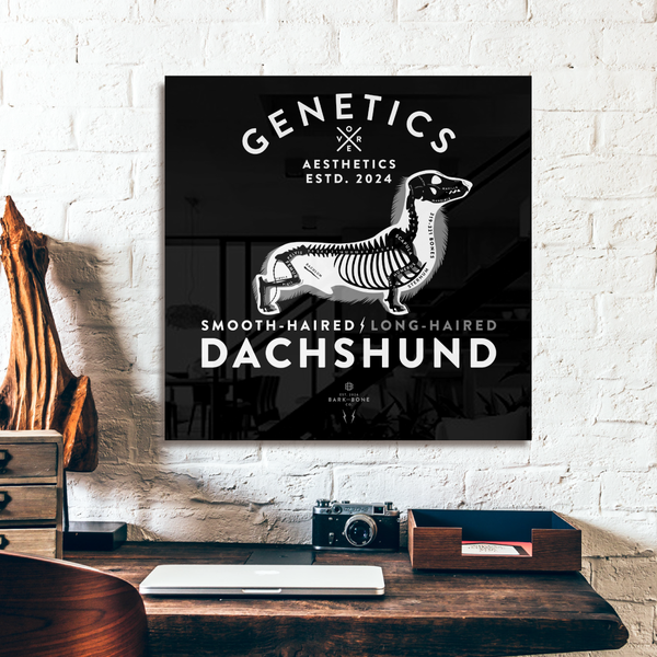 Atomic Collection  - The Dachshund (Limited Edition)