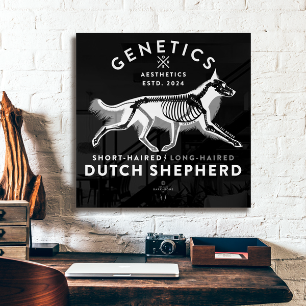 Atomic Collection  - The Dutch Shepherd (Limited Edition)
