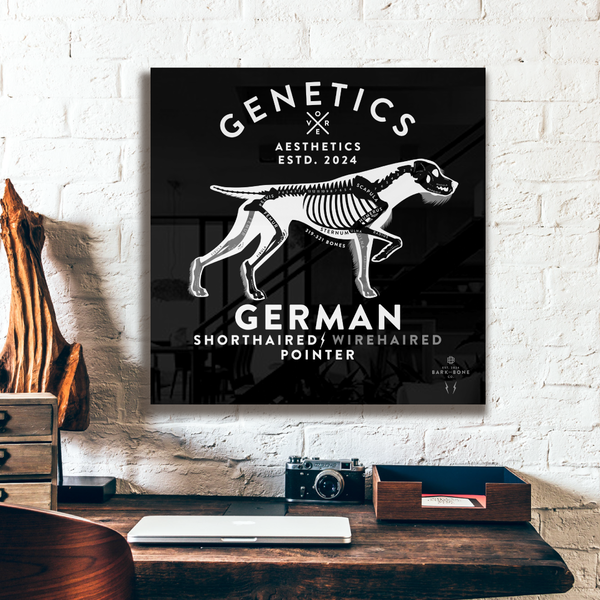Atomic Collection  - The German Pointer (Limited Edition)