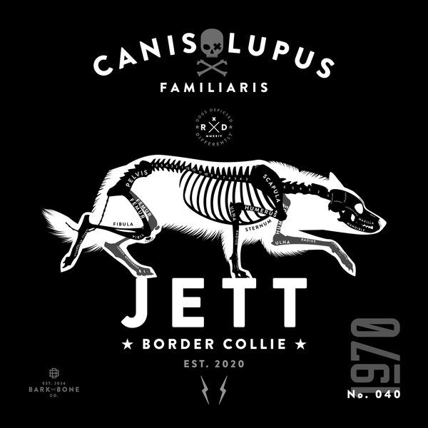 MEGA Border Collie Sampler