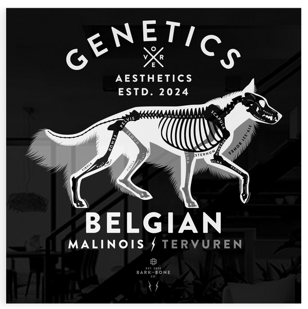 Atomic Collection  - The Belgian Shepherd (Limited Edition)