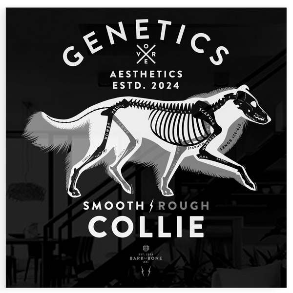 Atomic Collection  - The Collie (Limited Edition)