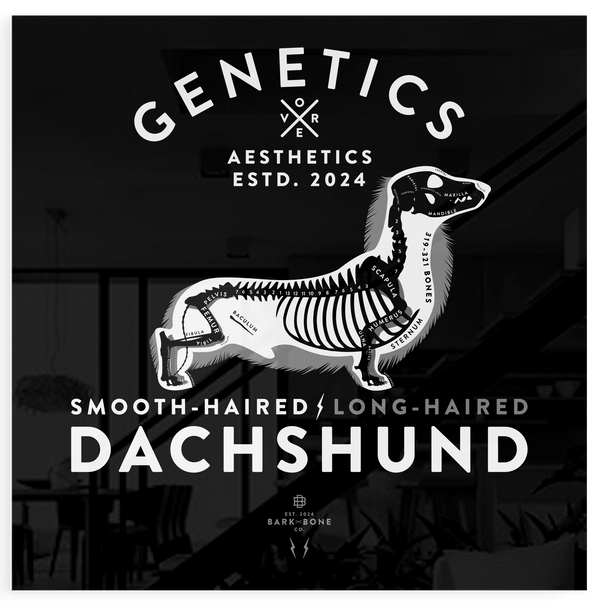 Atomic Collection  - The Dachshund (Limited Edition)