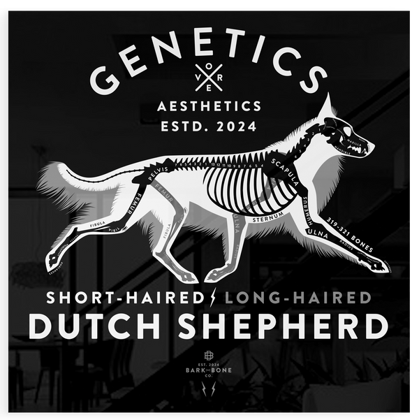 Atomic Collection  - The Dutch Shepherd (Limited Edition)