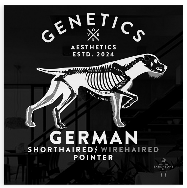 Atomic Collection  - The German Pointer (Limited Edition)