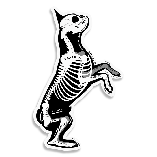 French Bulldog Skin & Bones Vinyl Sticker (3 pack)
