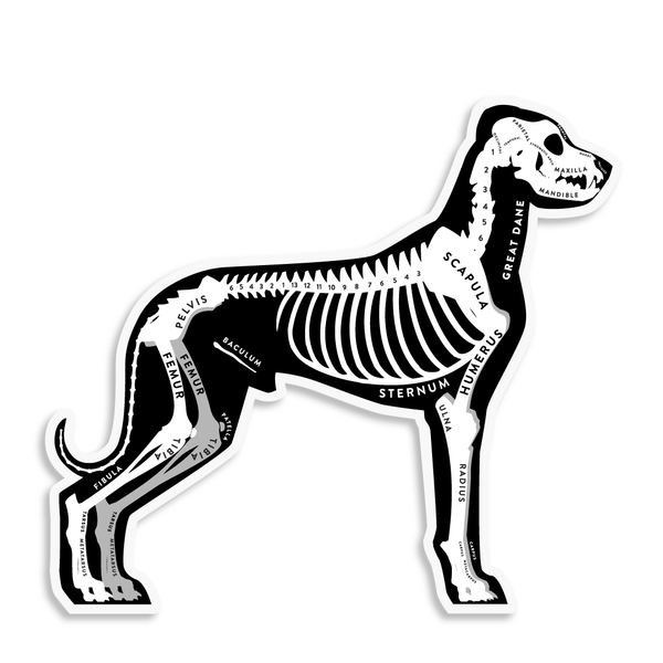 Great Dane Skin & Bones Vinyl Sticker (3 pack)