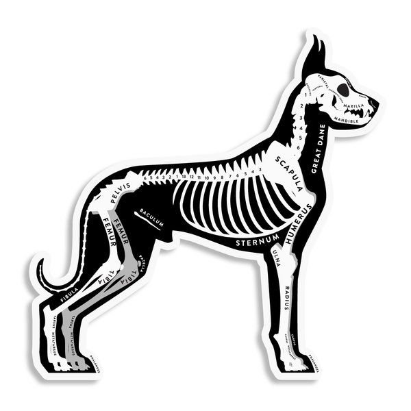 Great Dane Skin & Bones Vinyl Sticker (3 pack)
