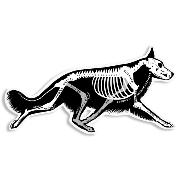 German Shepherd Skin & Bones Vinyl Sticker (3 pack)
