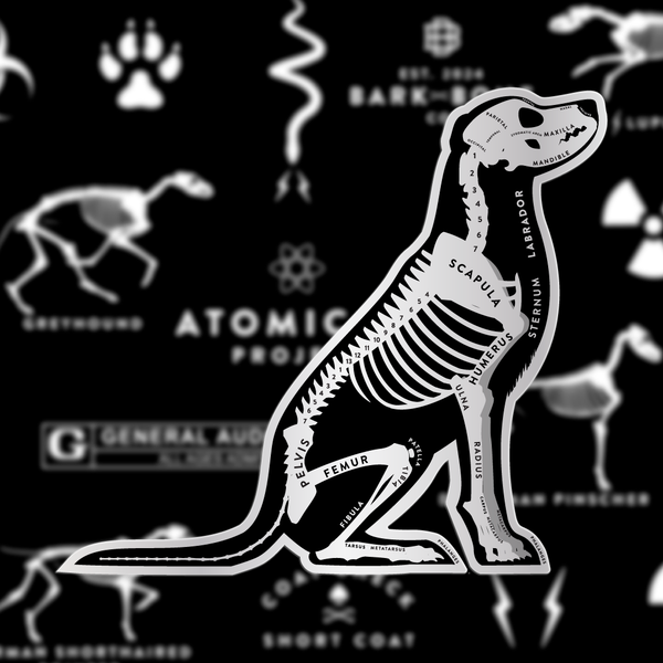 Labrador Retriever Skin & Bones Vinyl Sticker (3 pack)