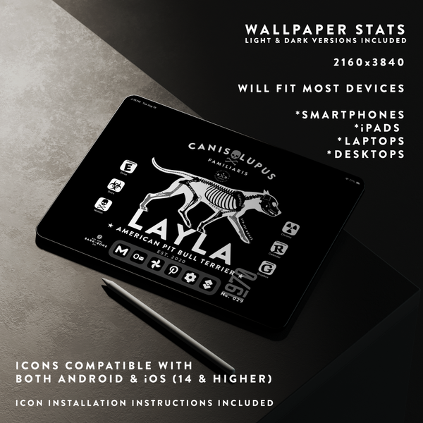 The DIGITAL VAULT Pack