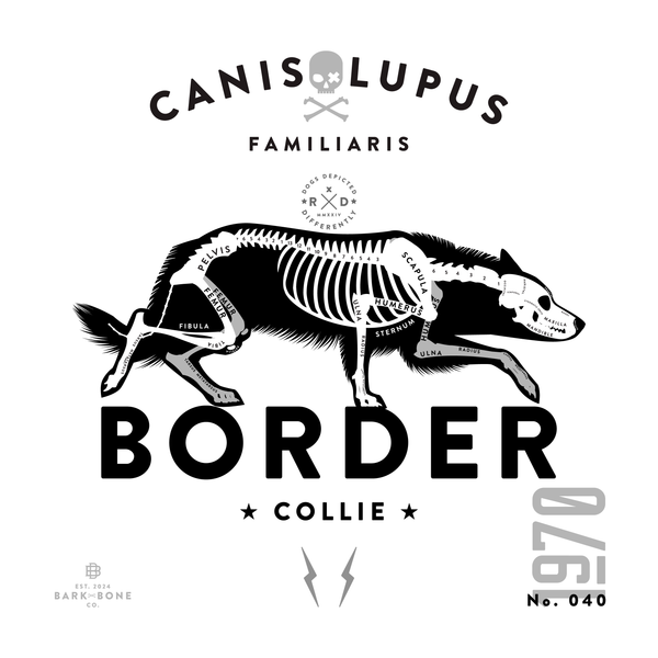 Border Collie Sampler Pack
