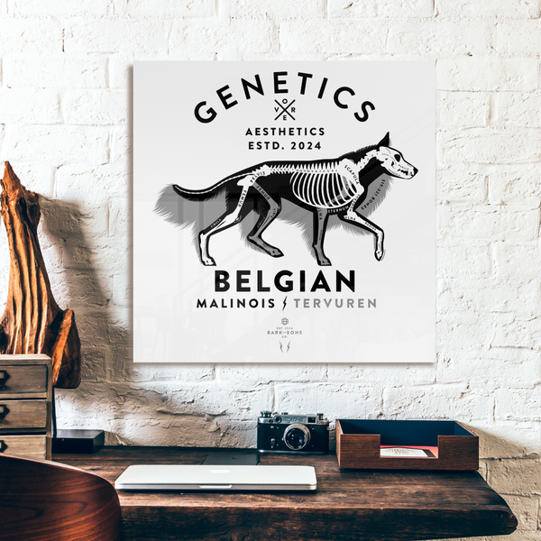 Atomic Collection  - The Belgian Shepherd (Limited Edition)