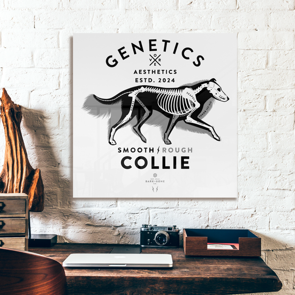 Atomic Collection  - The Collie (Limited Edition)
