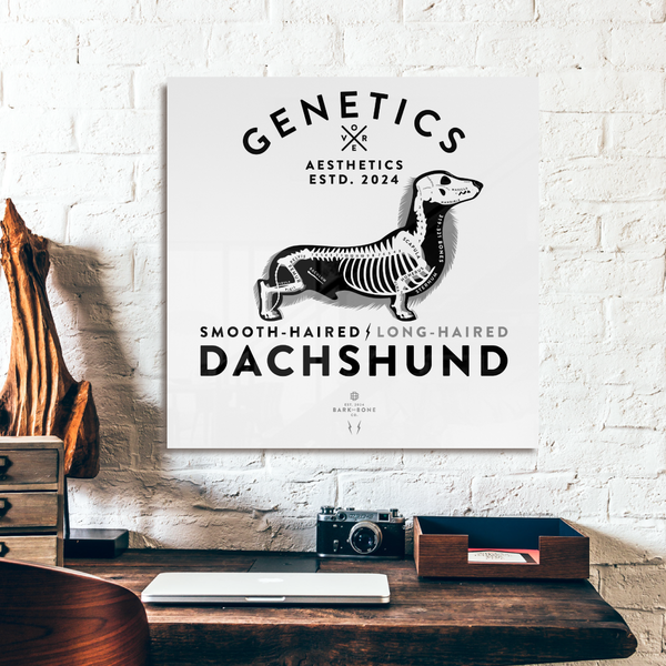 Atomic Collection  - The Dachshund (Limited Edition)