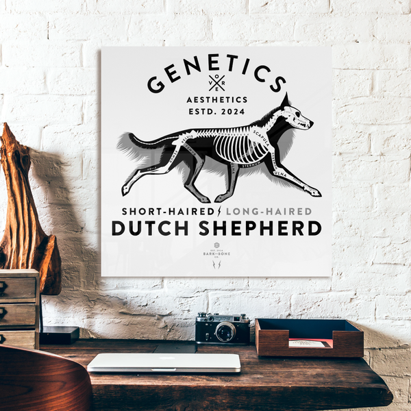 Atomic Collection  - The Dutch Shepherd (Limited Edition)