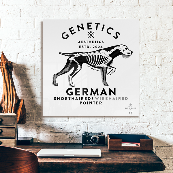 Atomic Collection  - The German Pointer (Limited Edition)