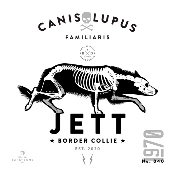 MEGA Border Collie Sampler