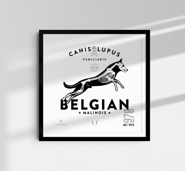 Belgian Malinois Sampler Pack  ADDON TEST