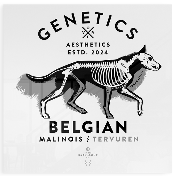 Atomic Collection  - The Belgian Shepherd (Limited Edition)