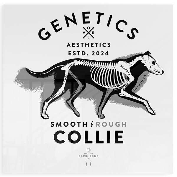Atomic Collection  - The Collie (Limited Edition)