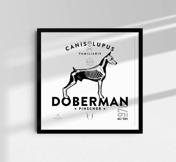Doberman Sampler Pack