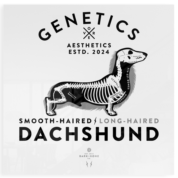 Atomic Collection  - The Dachshund (Limited Edition)