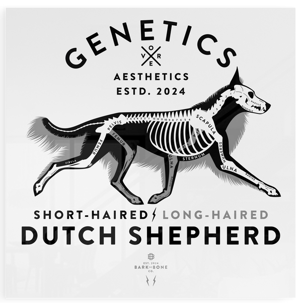 Atomic Collection  - The Dutch Shepherd (Limited Edition)
