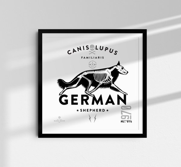 German Shepherd Sampler Pack