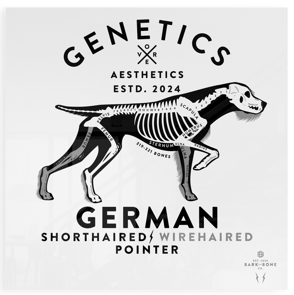 Atomic Collection  - The German Pointer (Limited Edition)
