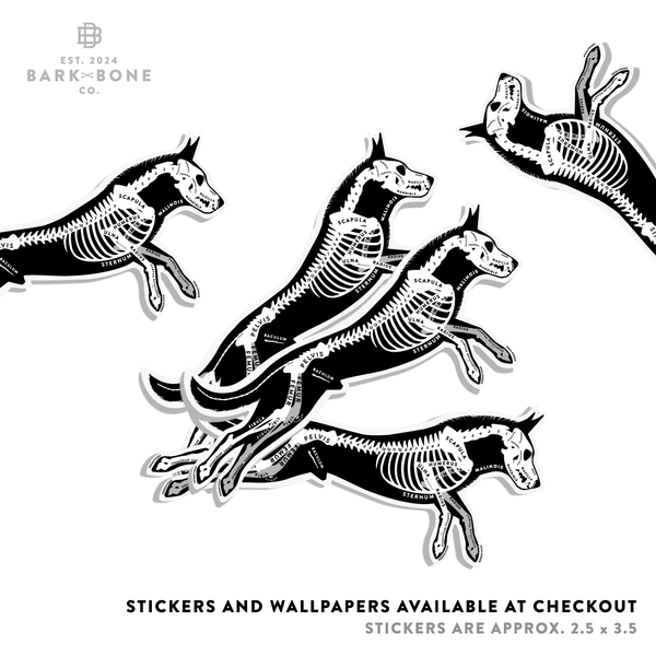 Belgian Malinois Sampler Pack  ADDON TEST