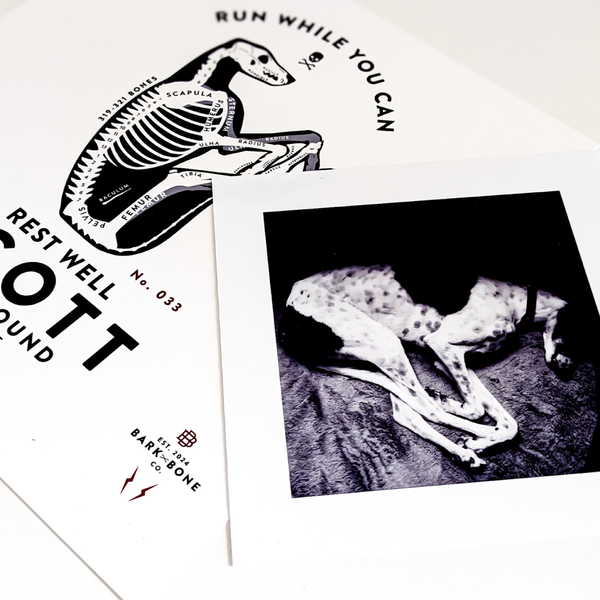 Custom Mini Prints  – Add-On for Commission Clients (5x5 Set of 2 or 8x8 Single)