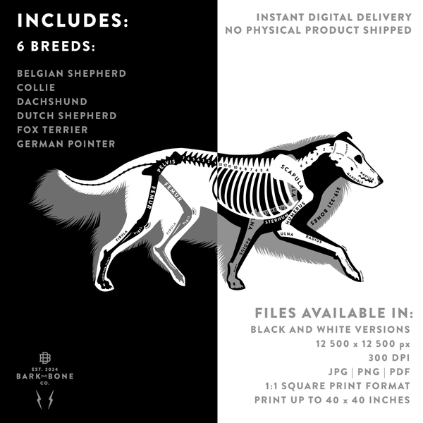 DIGITAL DOWNLOAD - Atomic Limited Edition Art Bundle