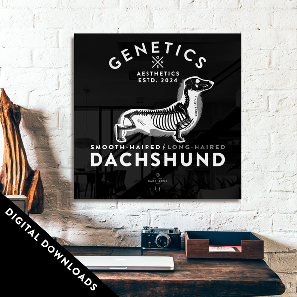 DIGITAL DOWNLOAD - Atomic Limited Edition Art Bundle
