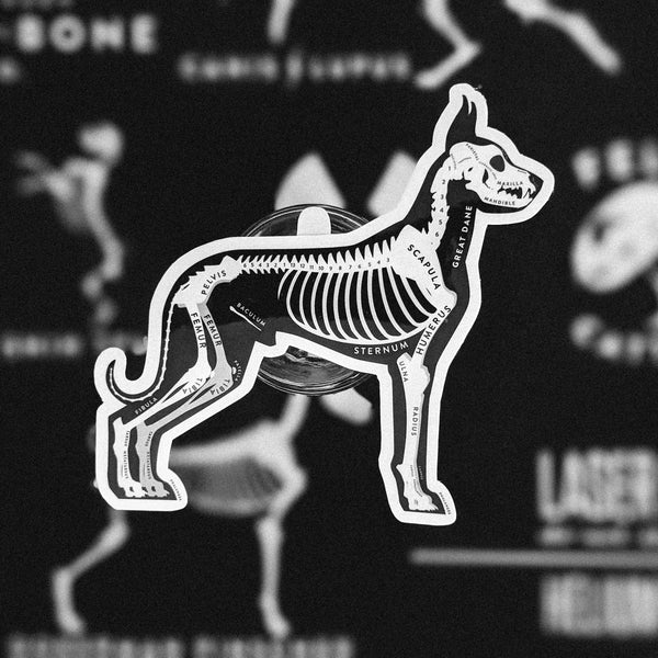 Great Dane Skin & Bones Vinyl Sticker (3 pack)