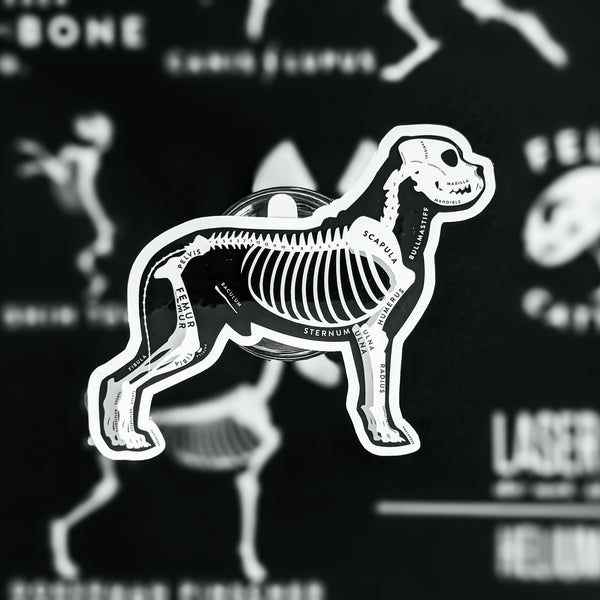 Bullmastiff Skin & Bones Vinyl Sticker (3 pack)