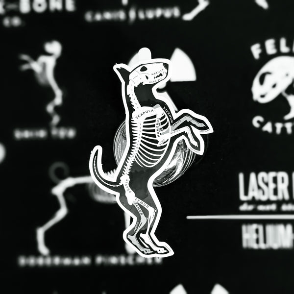 Bull Terrier Skin & Bones Vinyl Sticker (3 pack)