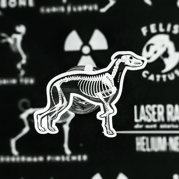 Whippet Skin & Bones Vinyl Sticker (3 pack)