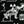 Dogo Argentino Skin & Bones Vinyl Sticker (3 pack)