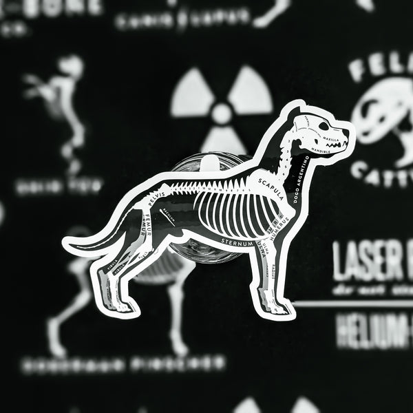 Dogo Argentino Skin & Bones Vinyl Sticker (3 pack)