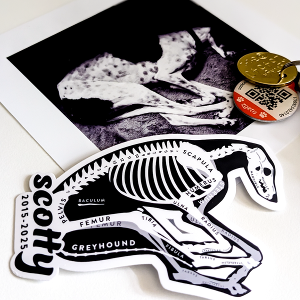 FULL 'X-Ray My Dog' Custom Commission (Digital Art Package)