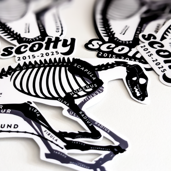 FULL 'X-Ray My Dog' Custom Commission (Digital Art Package)