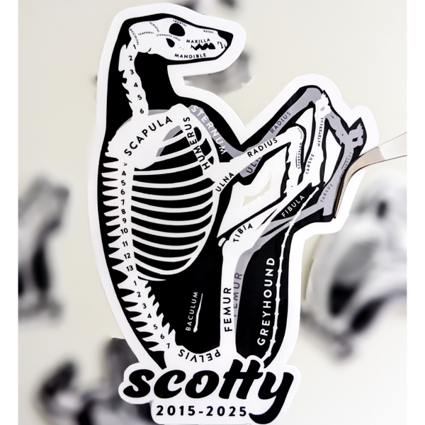 FULL 'X-Ray My Dog' Custom Commission (Digital Art Package)