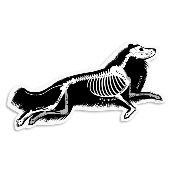 Shetland Sheepdog Skin & Bones Vinyl Sticker (3 pack)