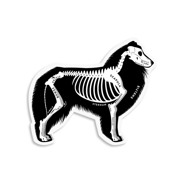 Shetland Sheepdog Skin & Bones Vinyl Sticker (3 pack)