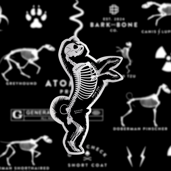 Shih Tzu Skin & Bones Vinyl Sticker (3 pack)