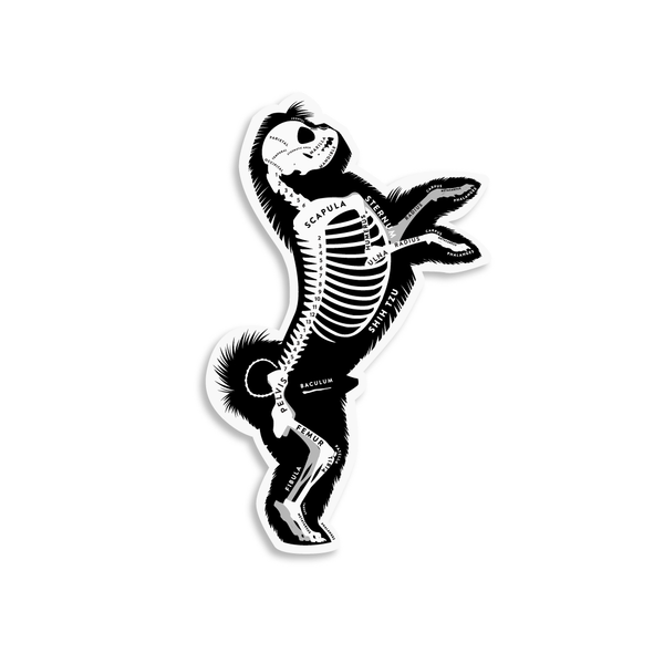Shih Tzu Skin & Bones Vinyl Sticker (3 pack)