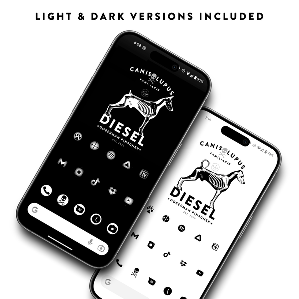 The DIGITAL VAULT Pack